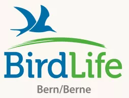 Birdlife Bern
